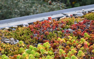 the cost of Voesgarth green roof installation