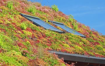 Voesgarth living roof systems